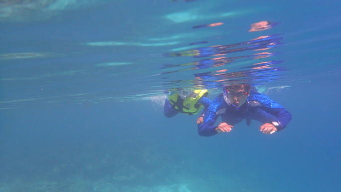 呱呱去旅行的视频,跟着瓜瓜去旅游