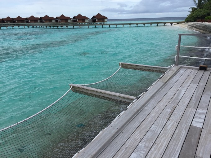 呱呱去旅行的视频,跟着瓜瓜去旅游