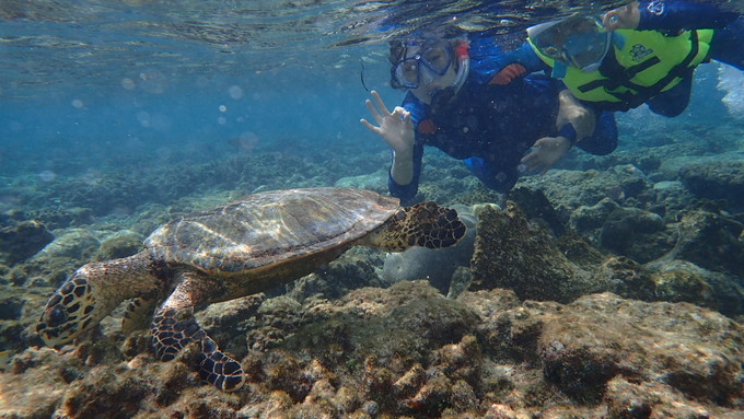 呱呱去旅行的视频,跟着瓜瓜去旅游