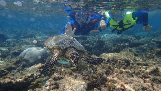 呱呱去旅行的视频,跟着瓜瓜去旅游