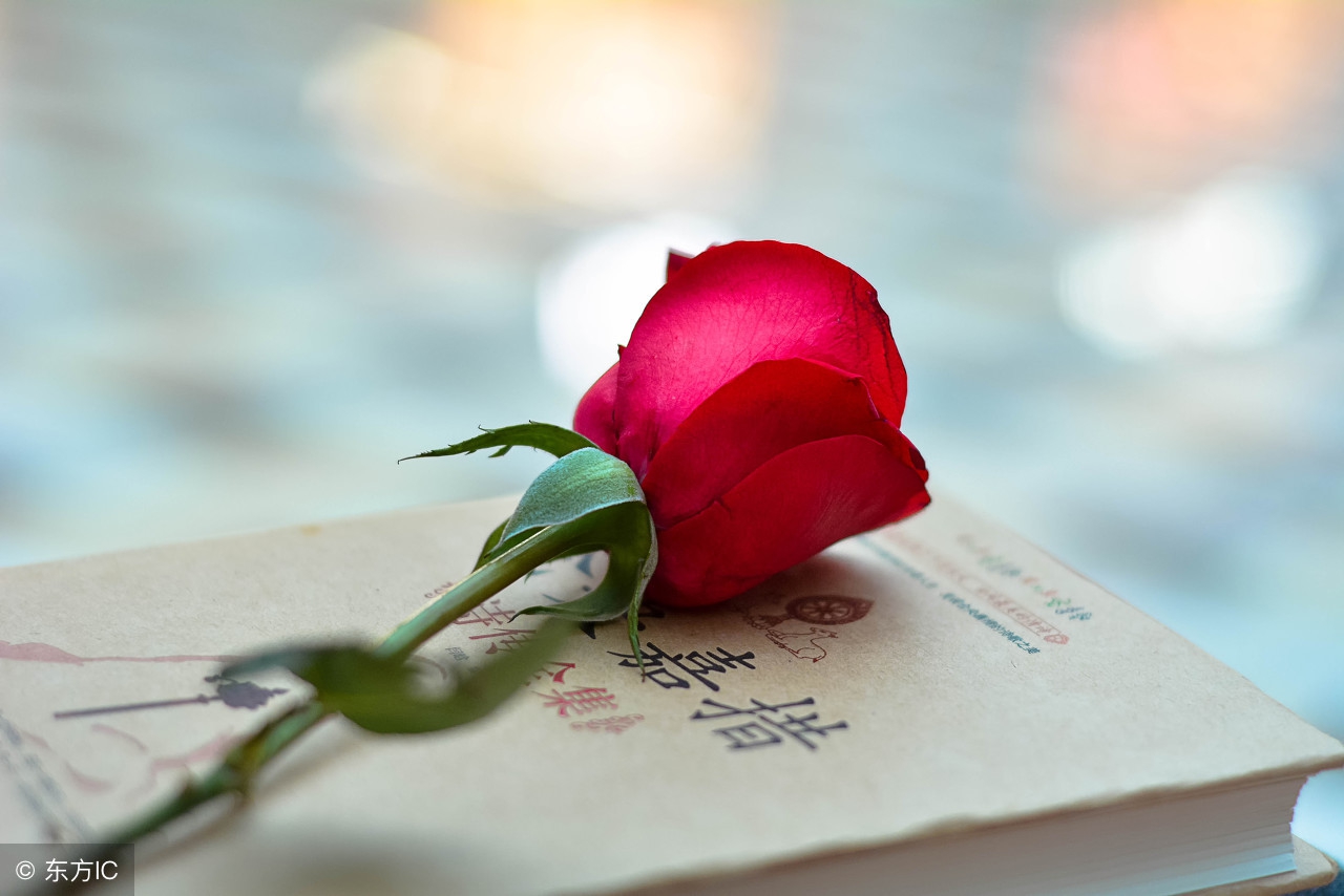 遇到她之后,我稀里糊涂成了男小三