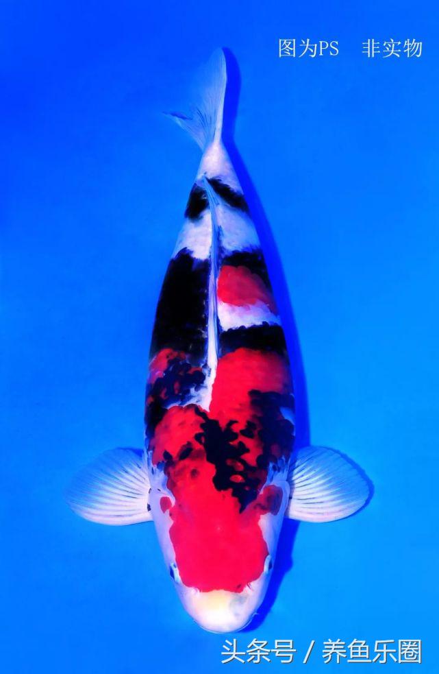 锦里距离宽窄巷子多远,锦里离宽窄巷子有多远