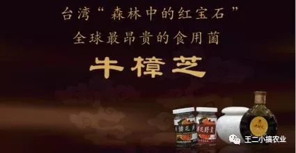 农业项目招商加盟有哪些,农业加盟代理模式