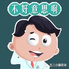 农业项目招商加盟有哪些,农业加盟代理模式