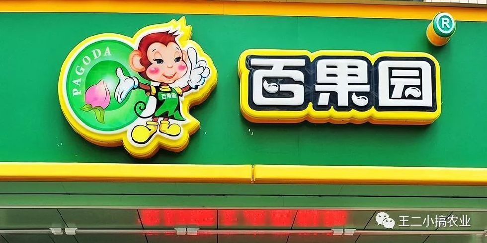 农业项目招商加盟有哪些,农业加盟代理模式