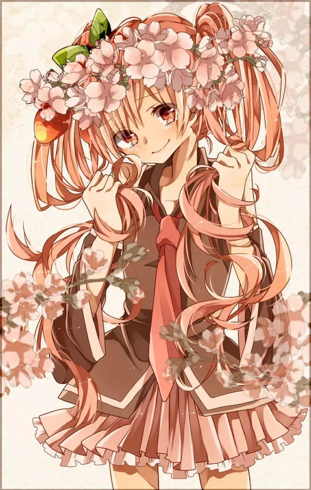 本期壁纸,本期壁纸orange