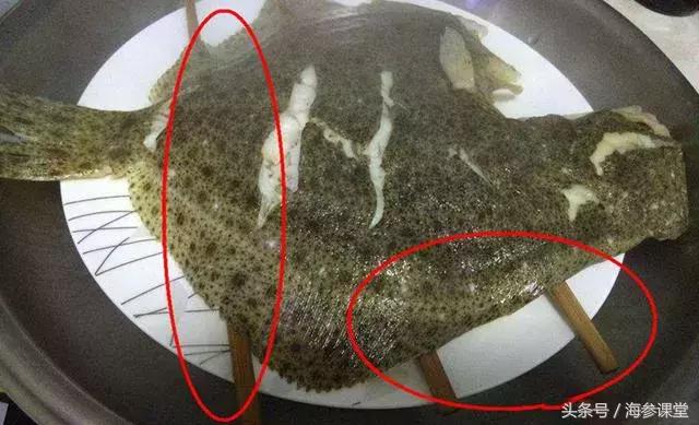 清蒸多宝鱼最佳吃法,清蒸多宝鱼的处理方法和做法