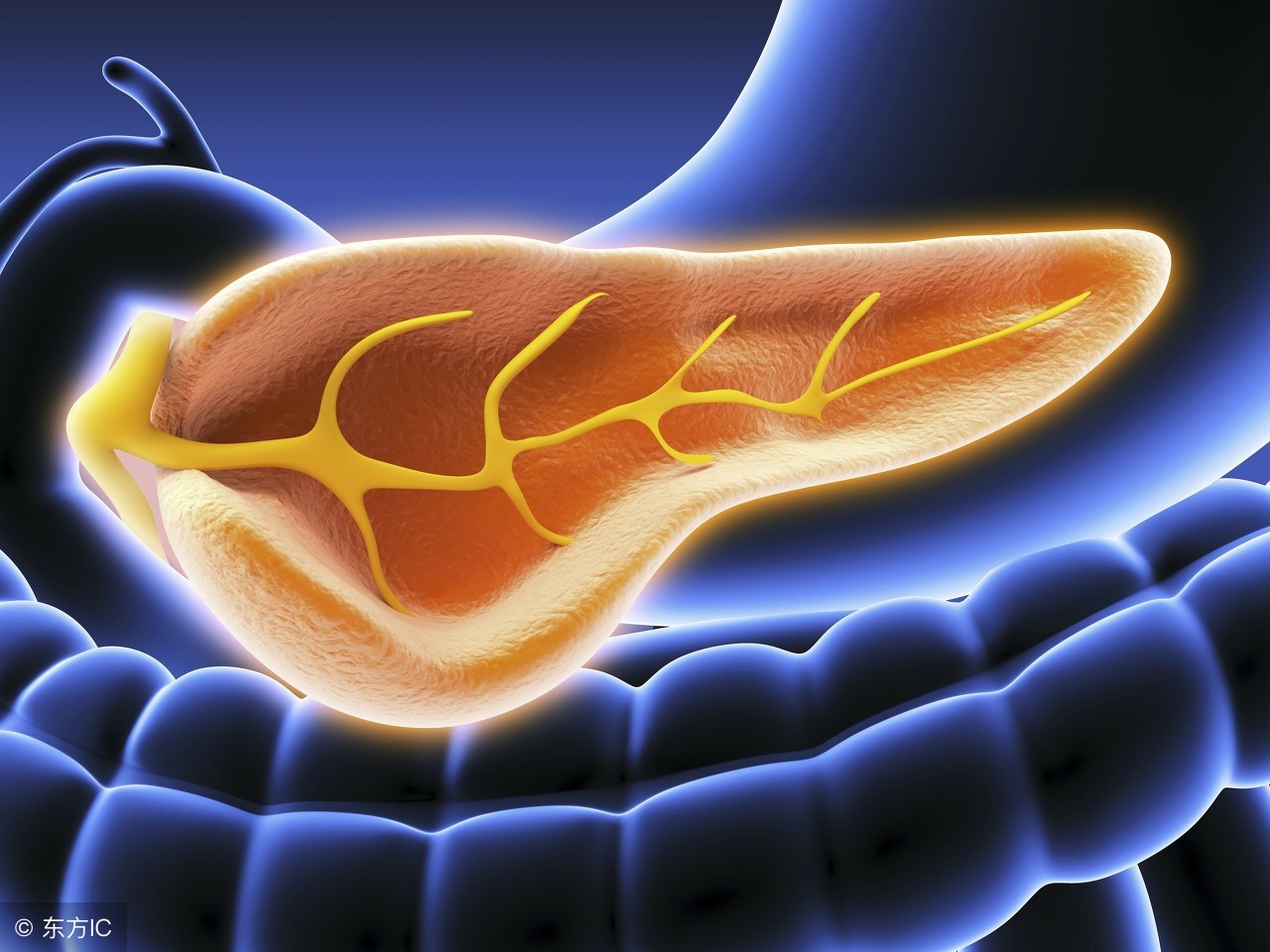 慢性胆囊炎应该注意些什么,慢性胆囊炎应注意哪些事项
