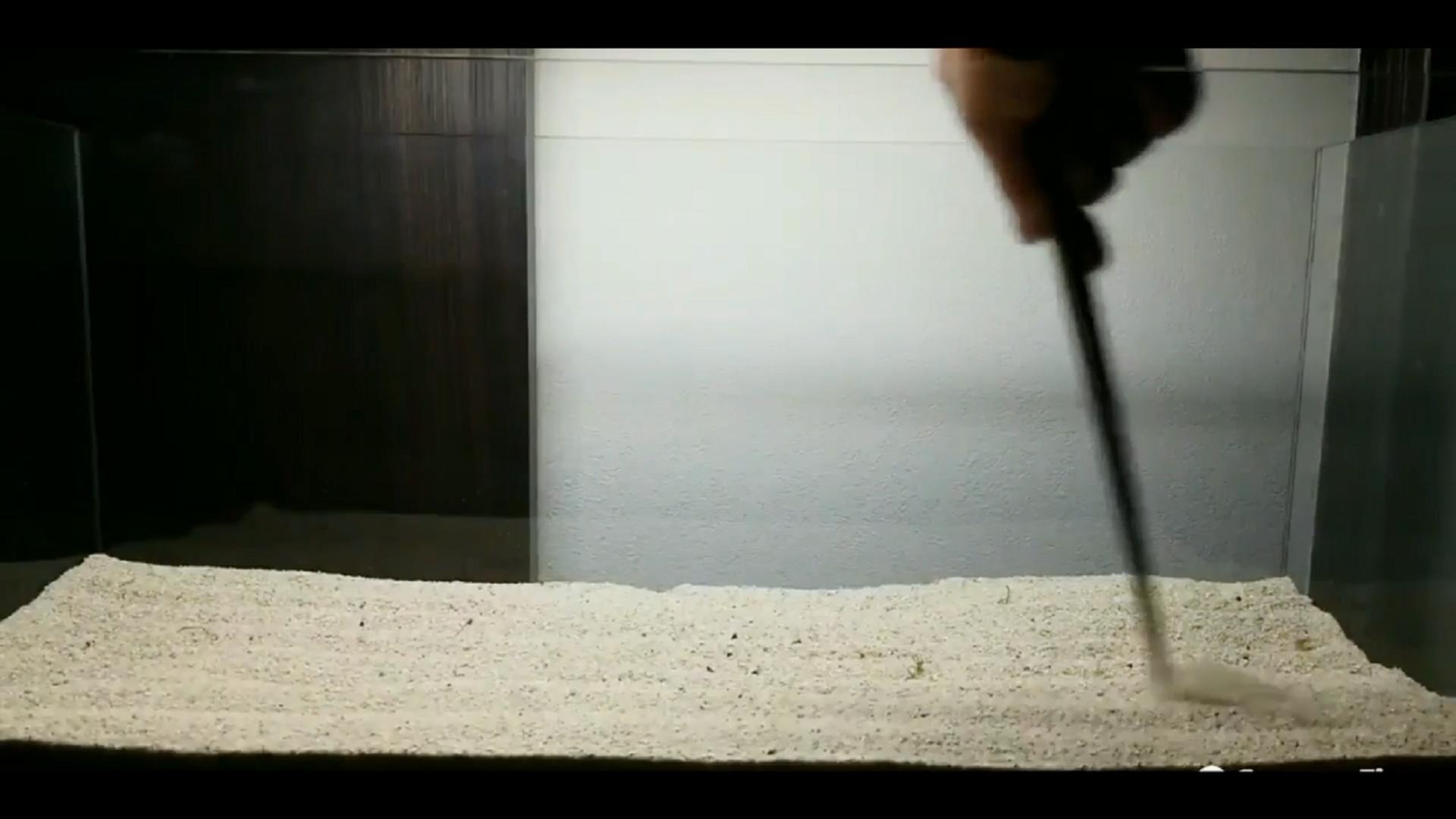 石头开缸需要养水吗,纯石头缸能养出硝化细菌吗