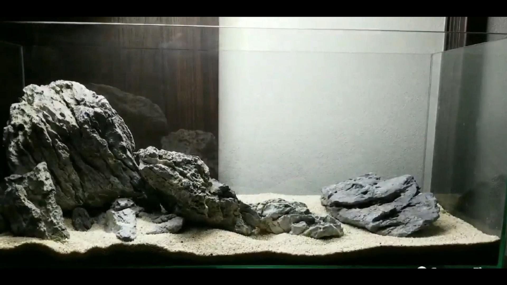 石头开缸需要养水吗,纯石头缸能养出硝化细菌吗