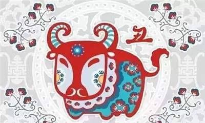 十二生肖招财风水局,十二生肖风水宜忌