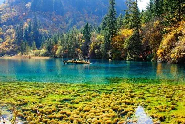 国内常见的这些旅游*局骗**，你上过当吗？