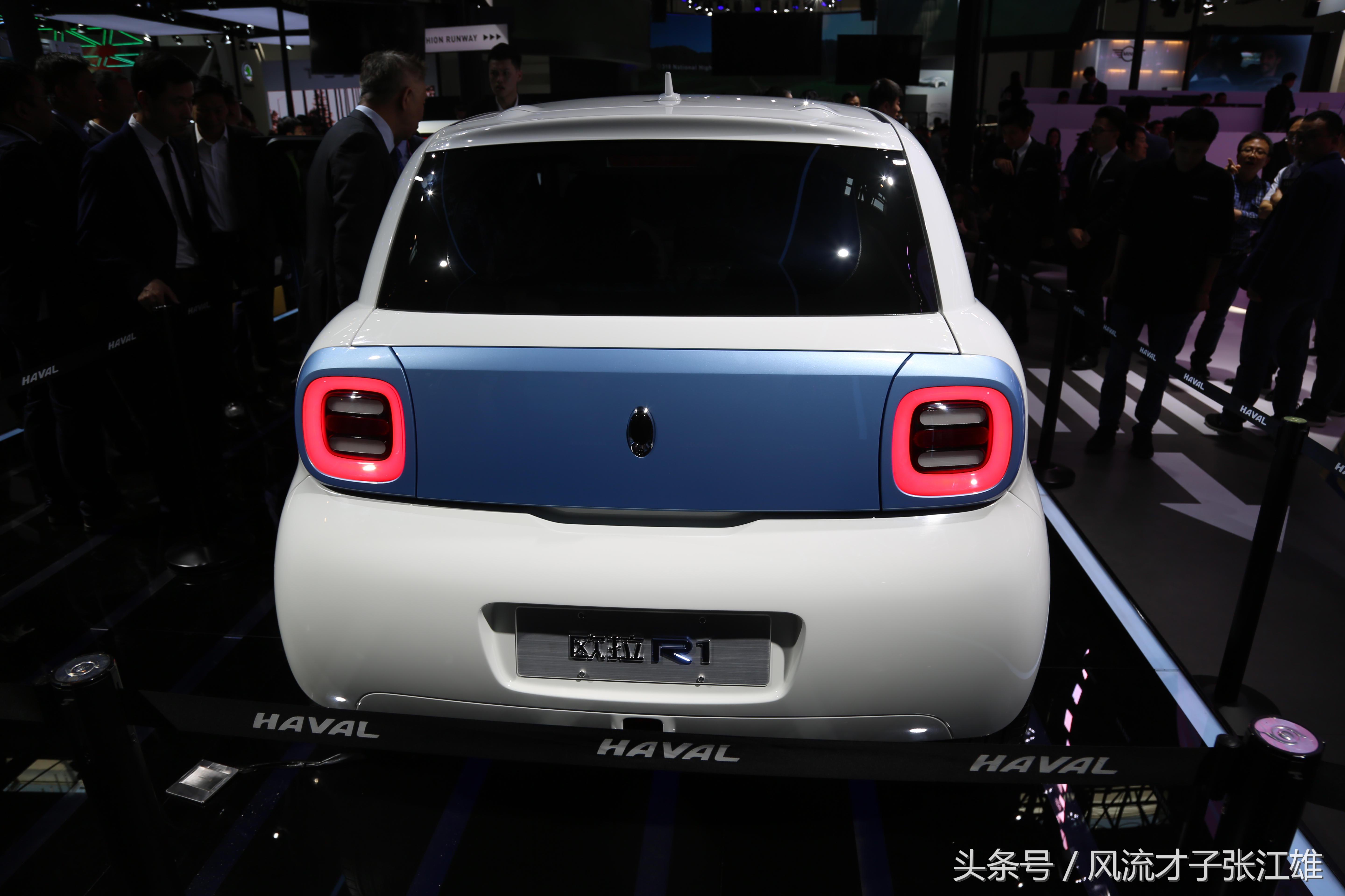 长城欧拉r1是纯电动车吗,长城欧拉r1电动汽车多少钱