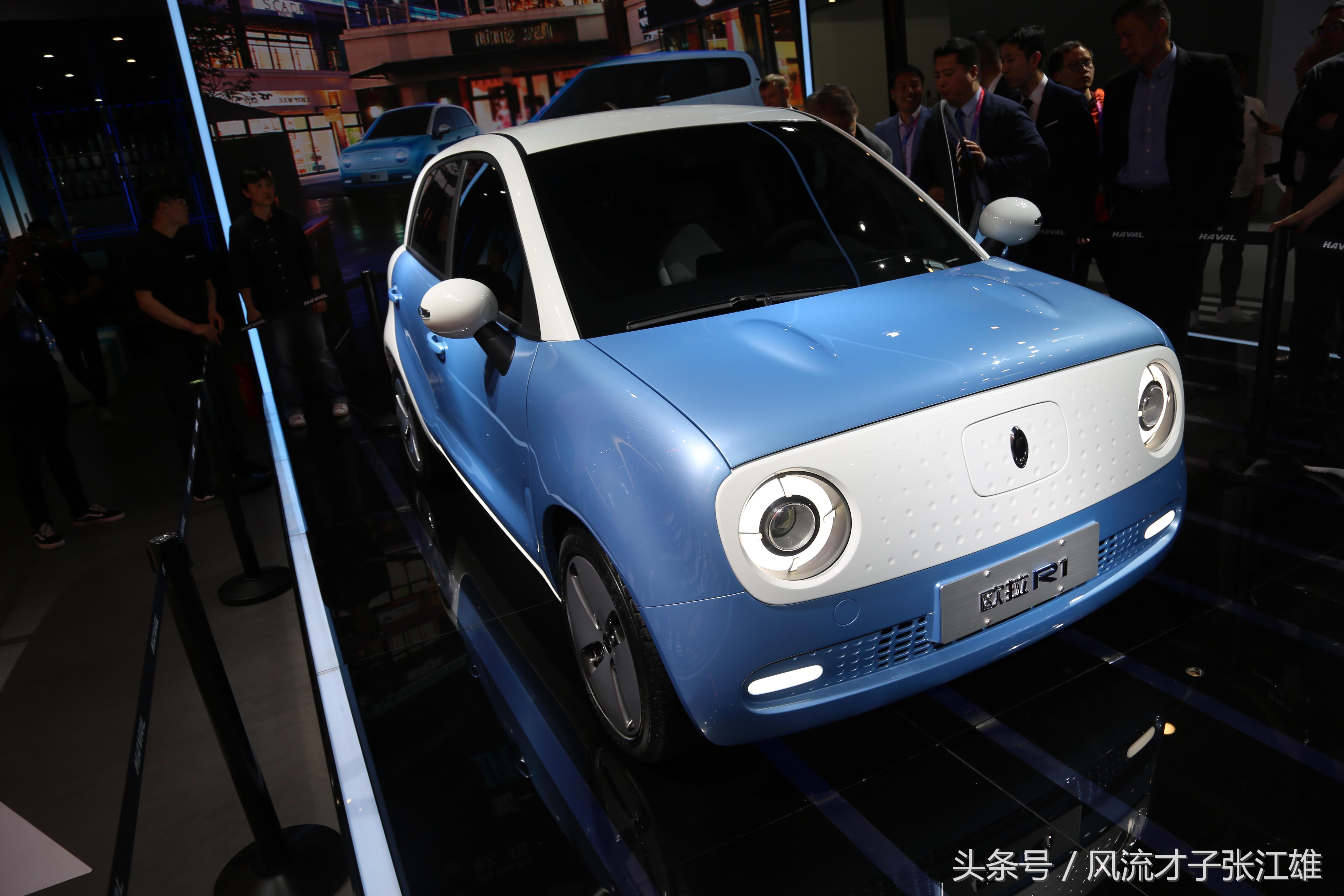 长城欧拉r1是纯电动车吗,长城欧拉r1电动汽车多少钱