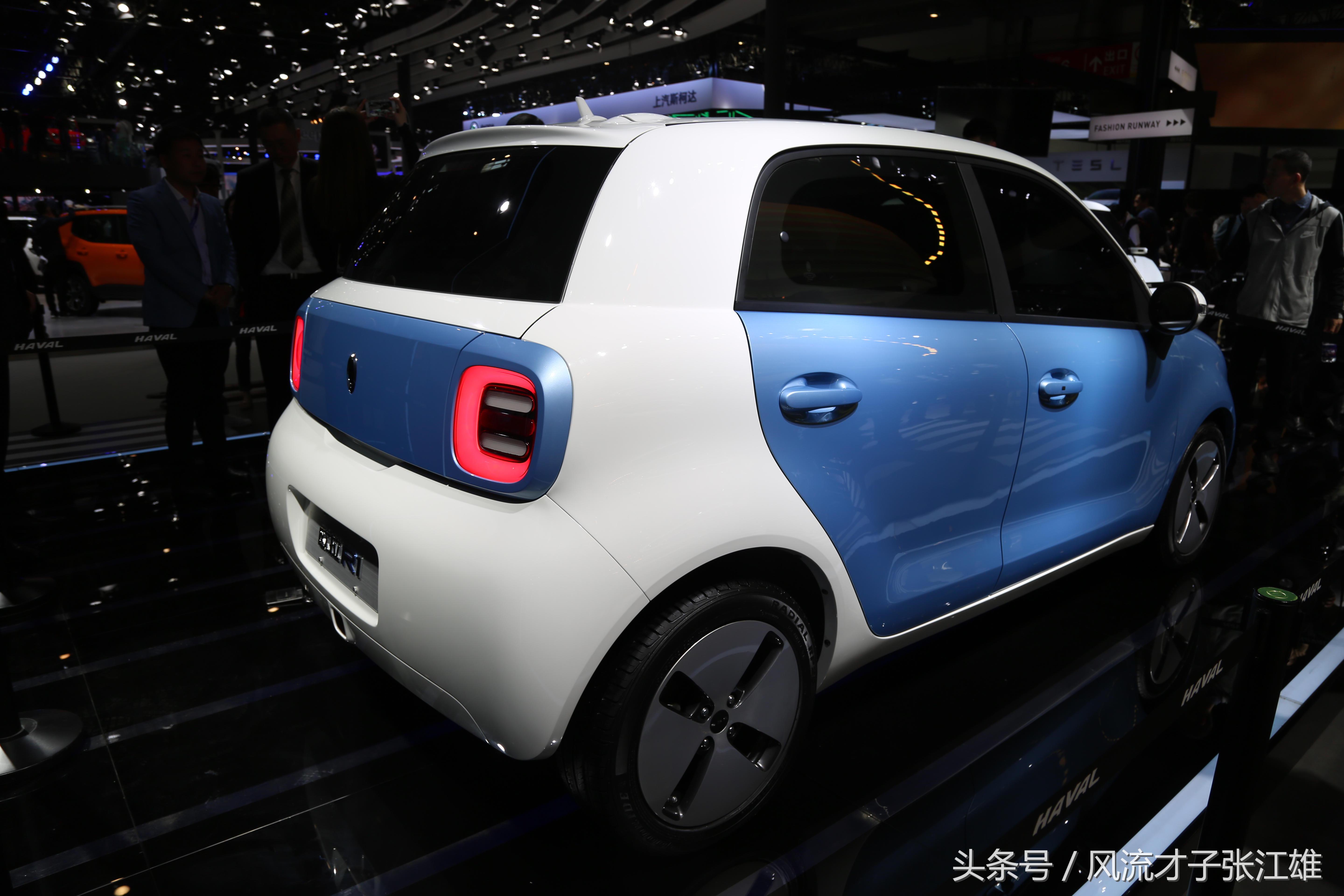 长城欧拉r1是纯电动车吗,长城欧拉r1电动汽车多少钱