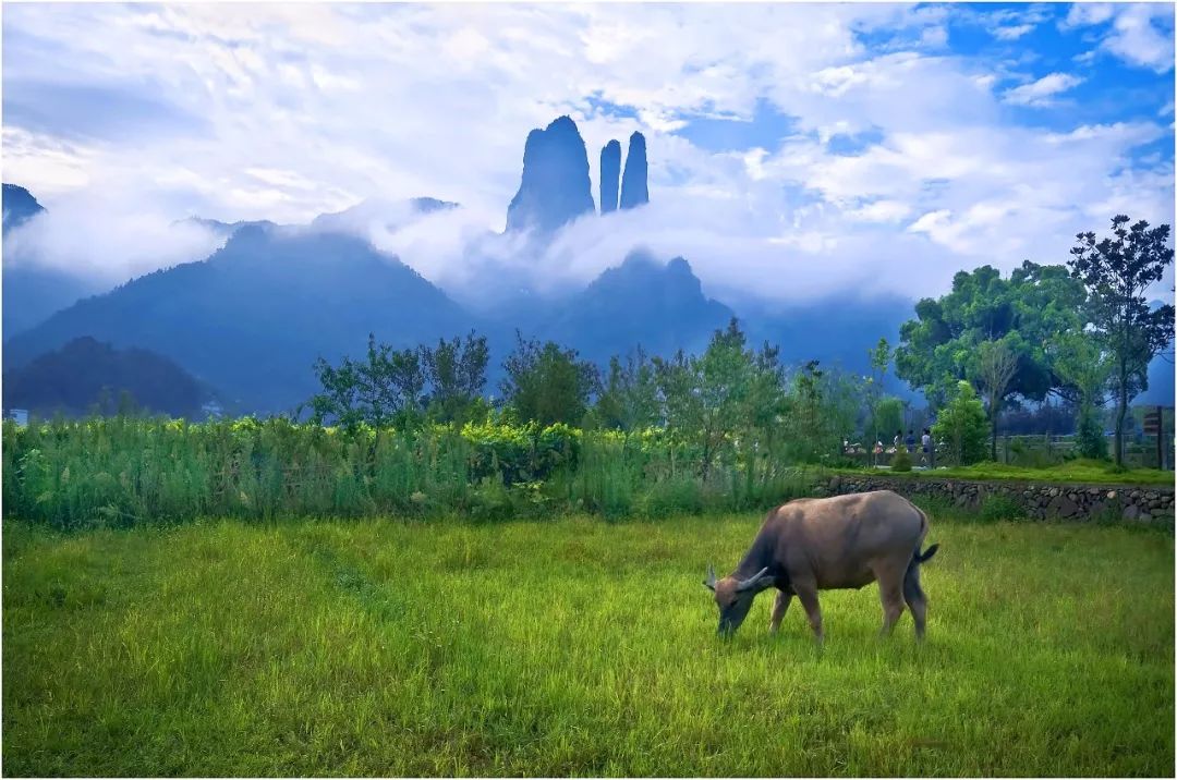 杭州余杭区旅游一日游,余杭一日游最佳景点