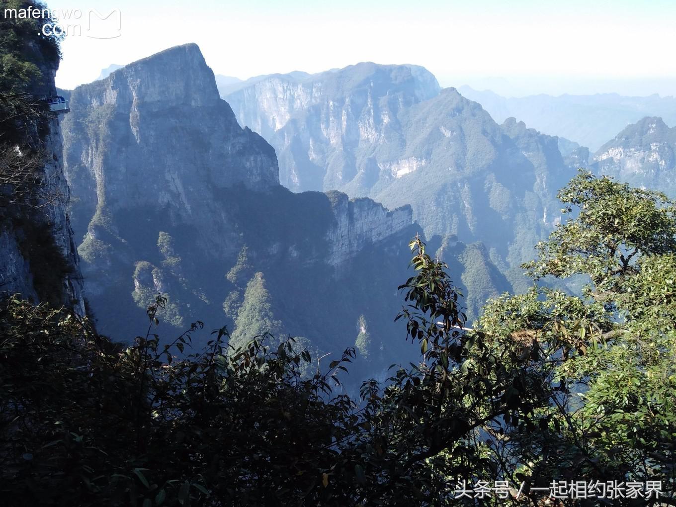 张家界机场到天门山自由行攻略,张家界天门山一日游攻略省钱