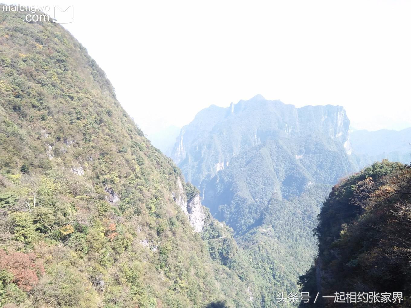 张家界机场到天门山自由行攻略,张家界天门山一日游攻略省钱
