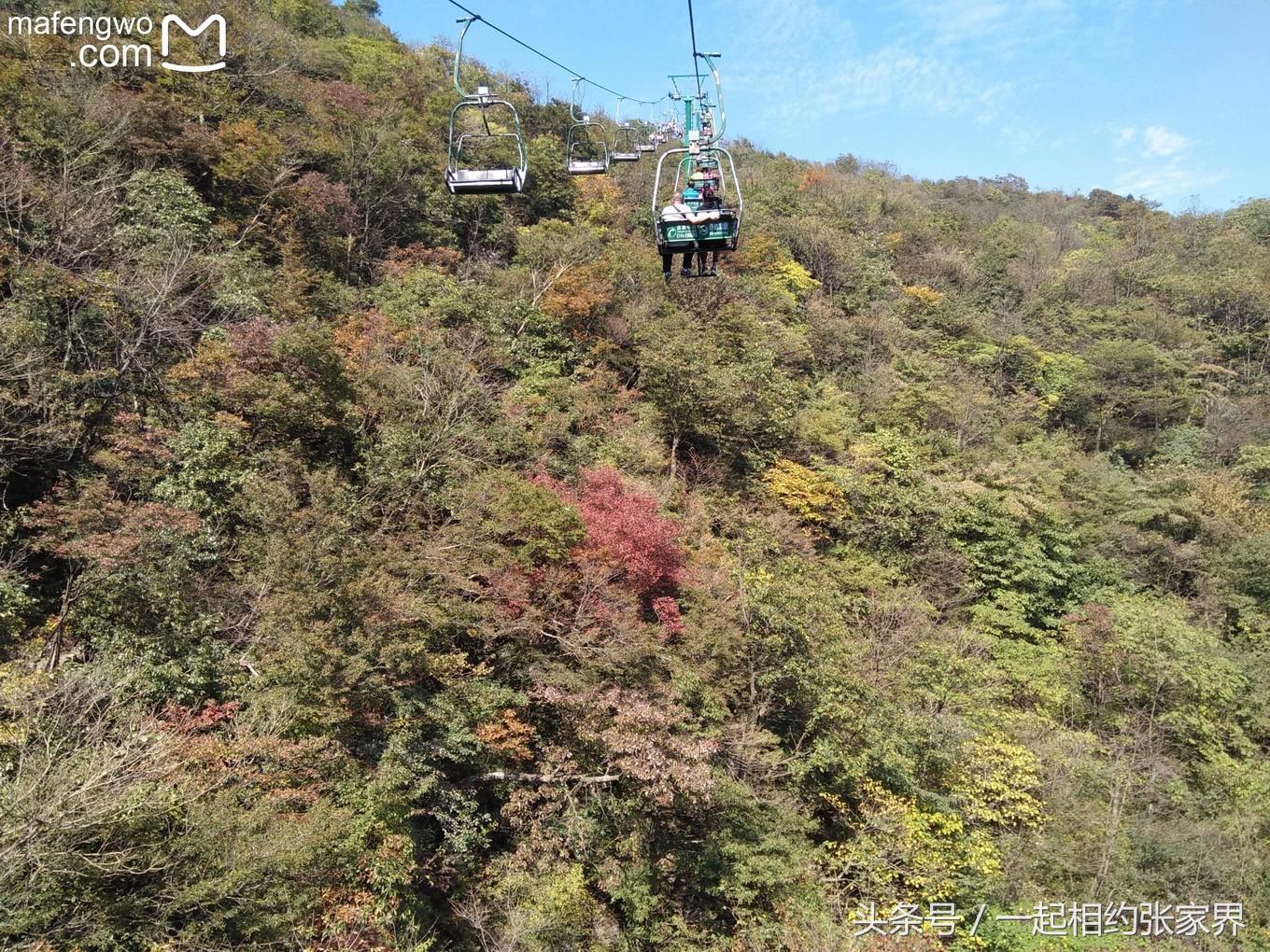 张家界机场到天门山自由行攻略,张家界天门山一日游攻略省钱