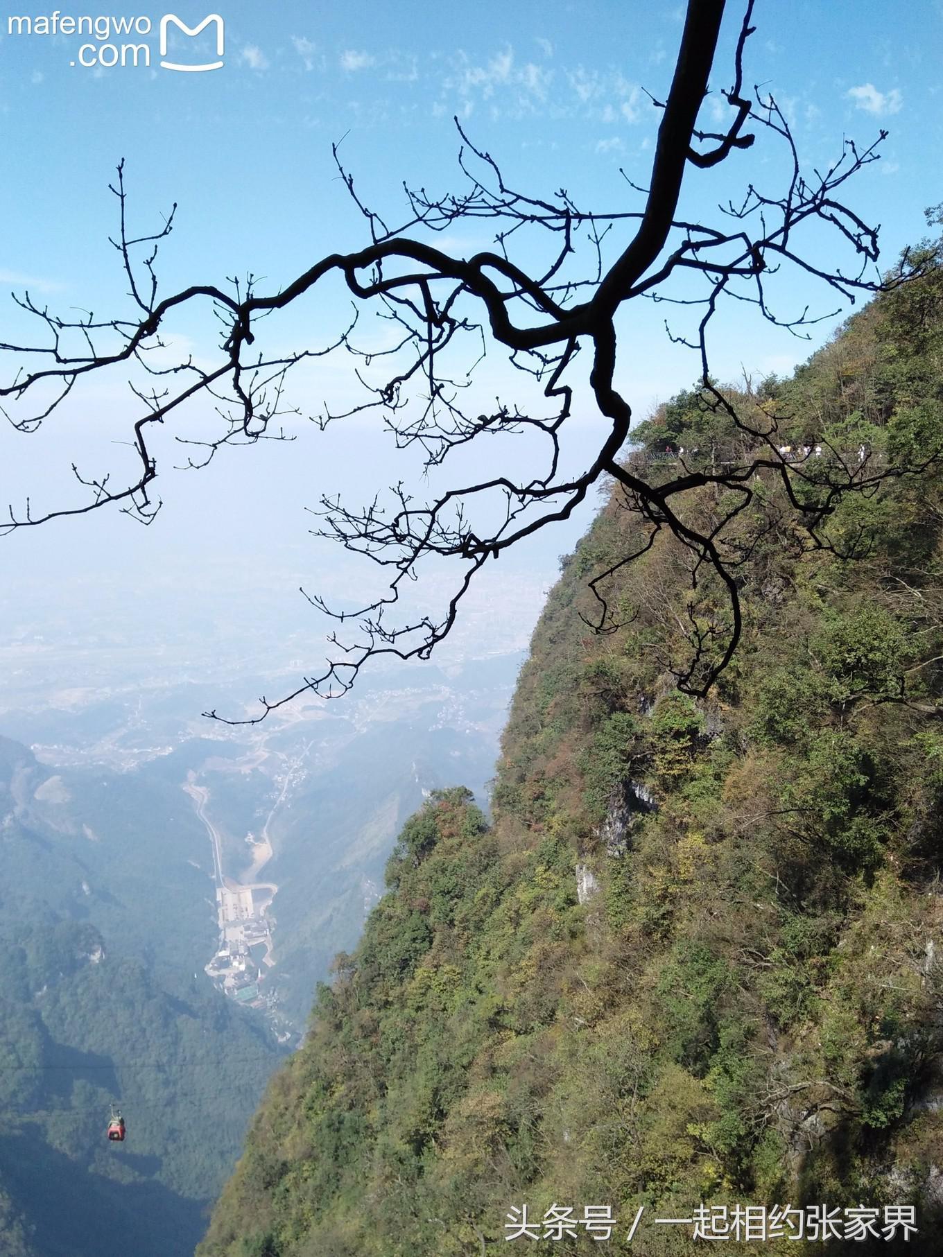 张家界机场到天门山自由行攻略,张家界天门山一日游攻略省钱