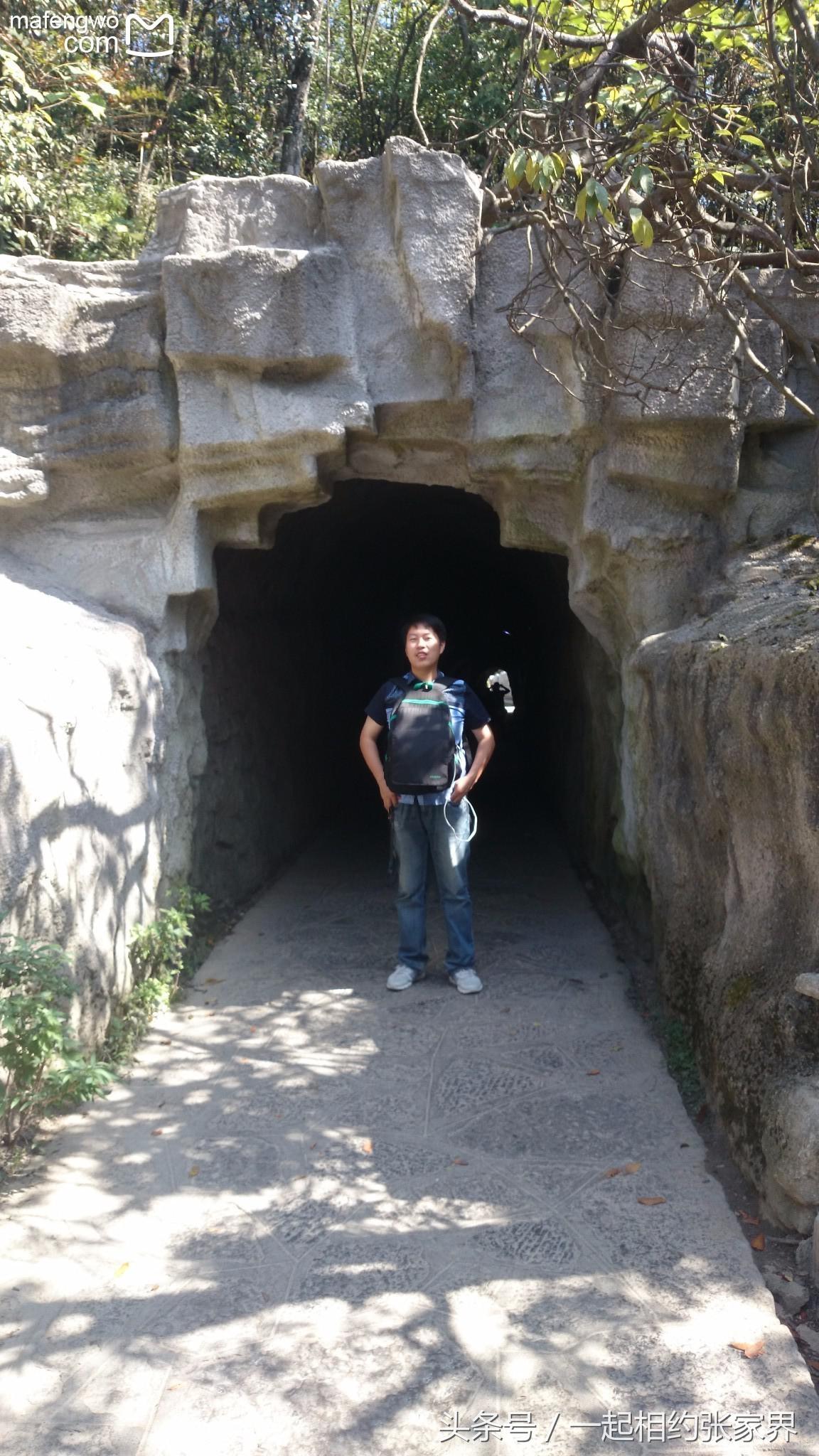 张家界机场到天门山自由行攻略,张家界天门山一日游攻略省钱