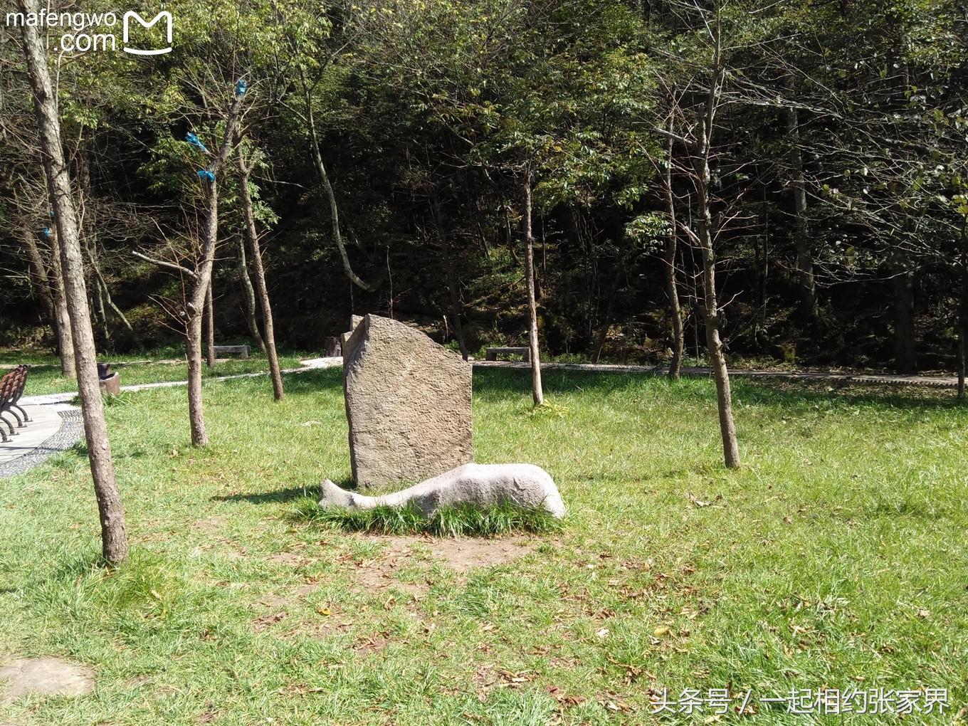 张家界机场到天门山自由行攻略,张家界天门山一日游攻略省钱