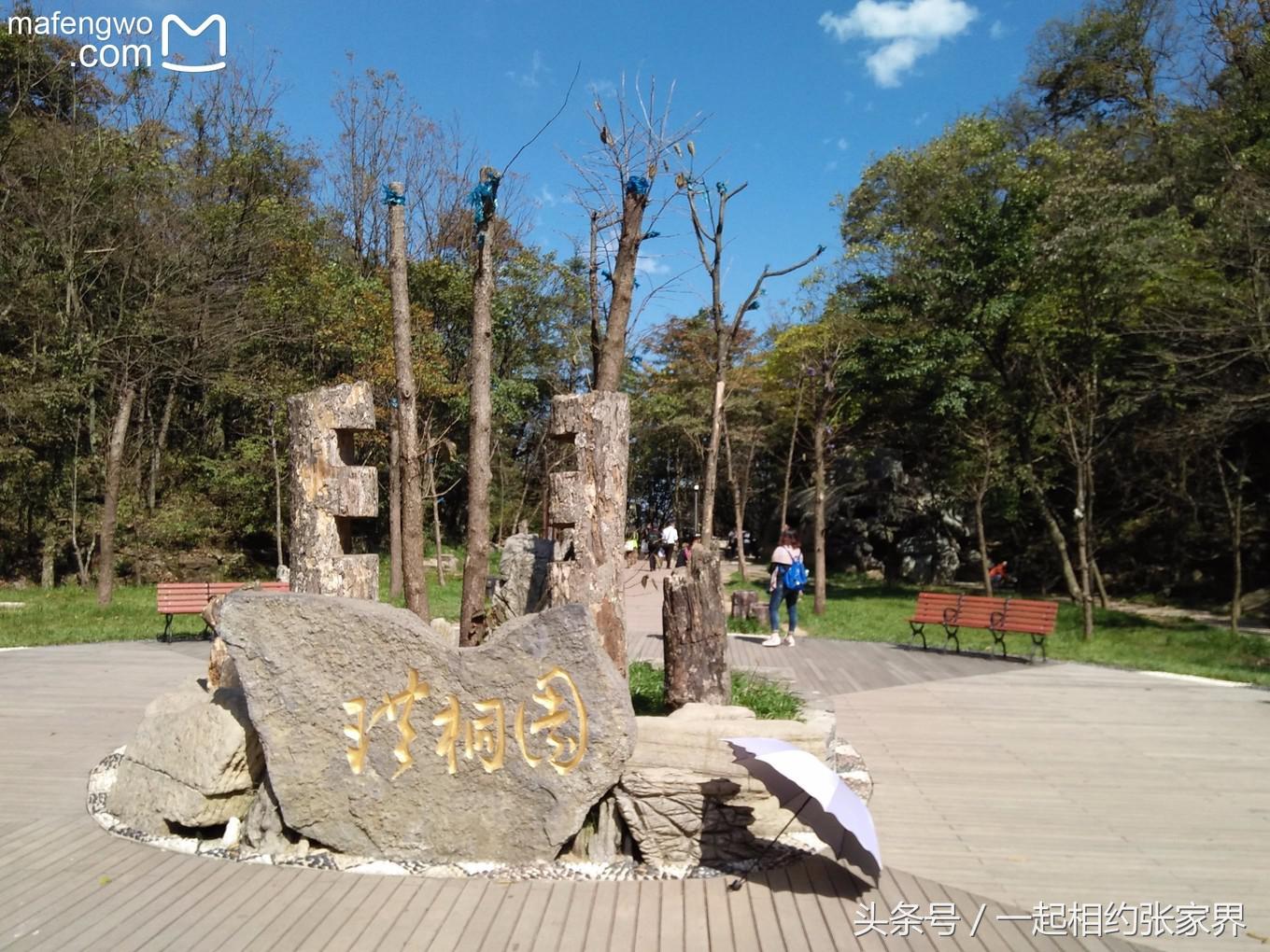 张家界机场到天门山自由行攻略,张家界天门山一日游攻略省钱