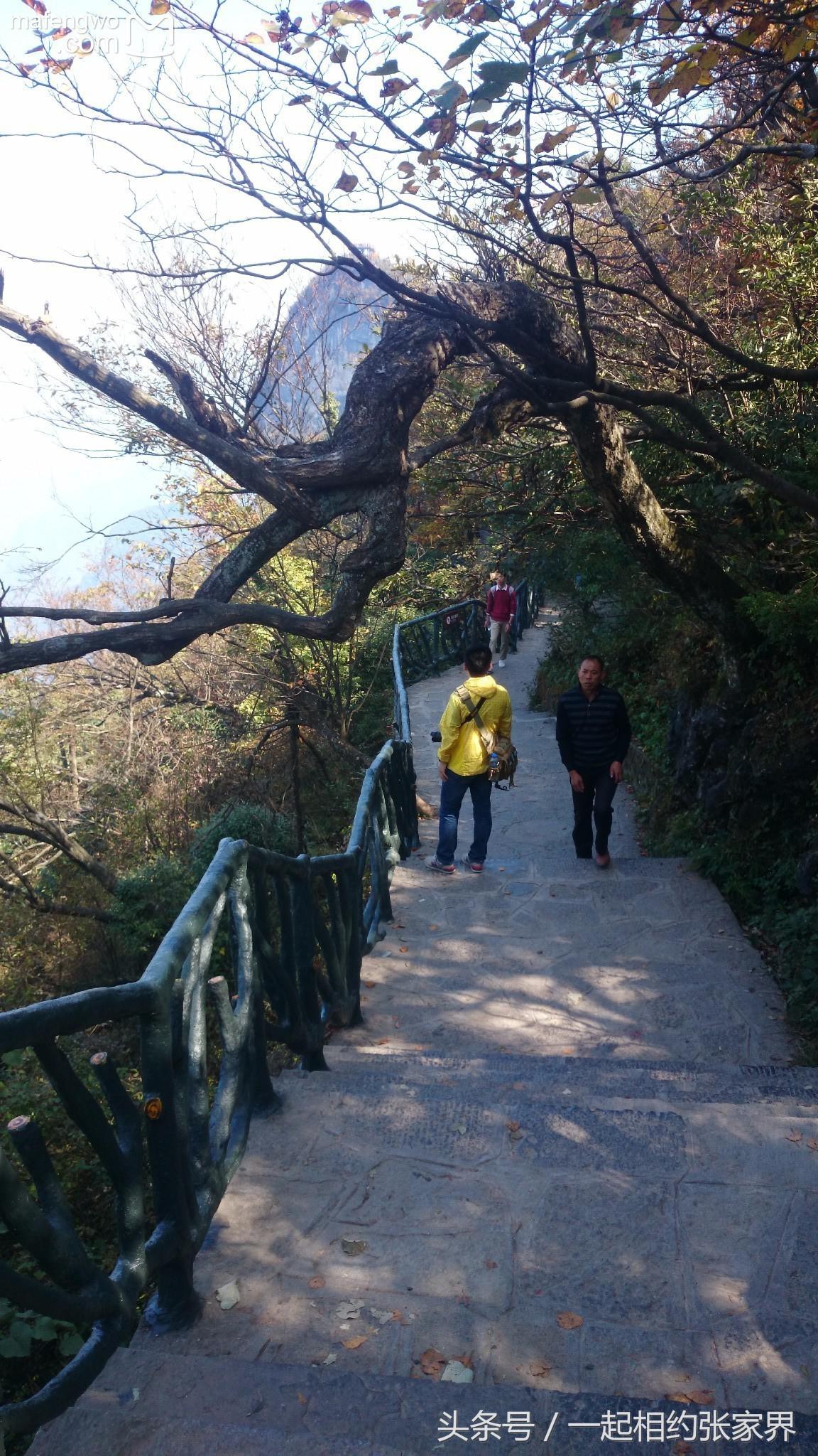 张家界机场到天门山自由行攻略,张家界天门山一日游攻略省钱