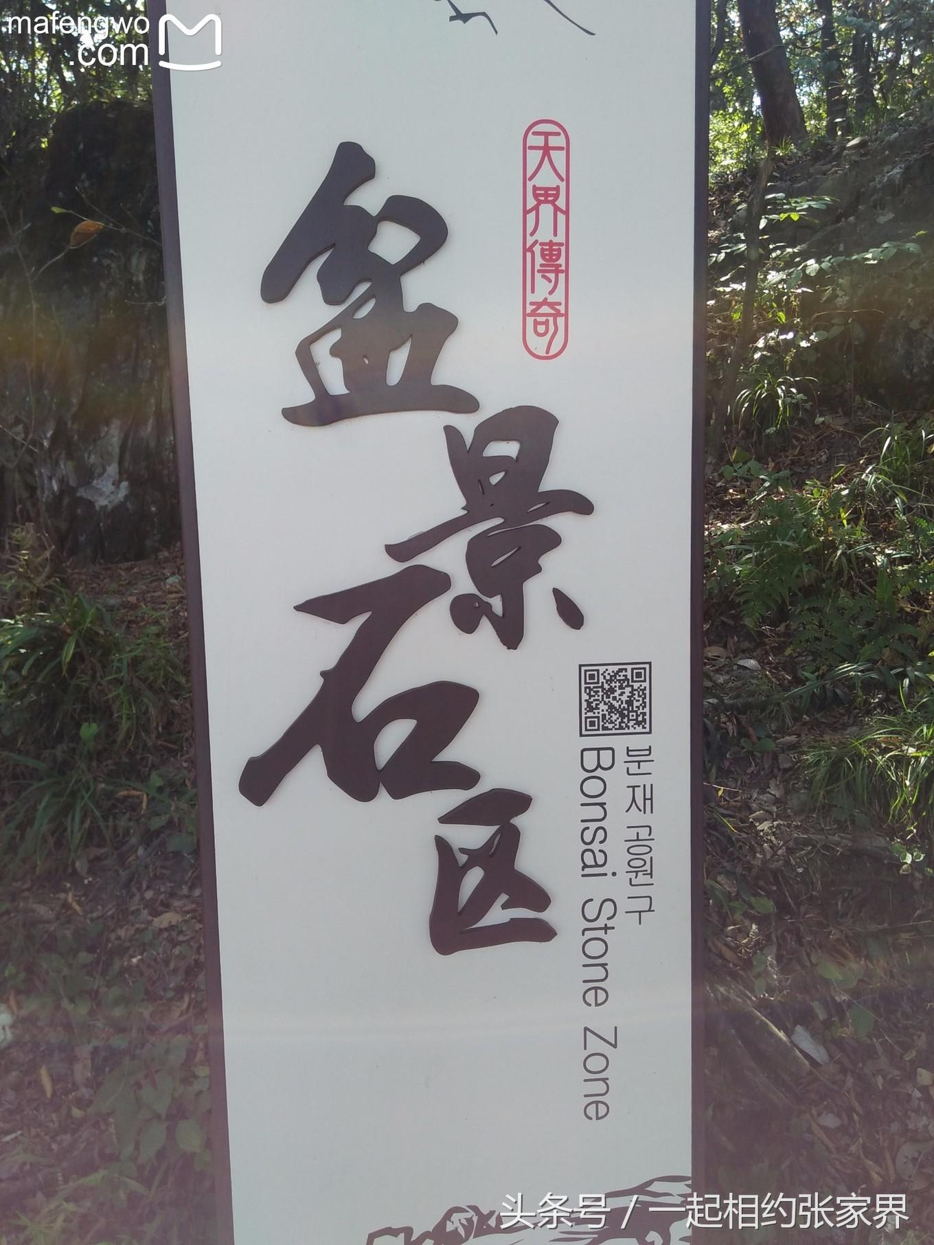 张家界机场到天门山自由行攻略,张家界天门山一日游攻略省钱