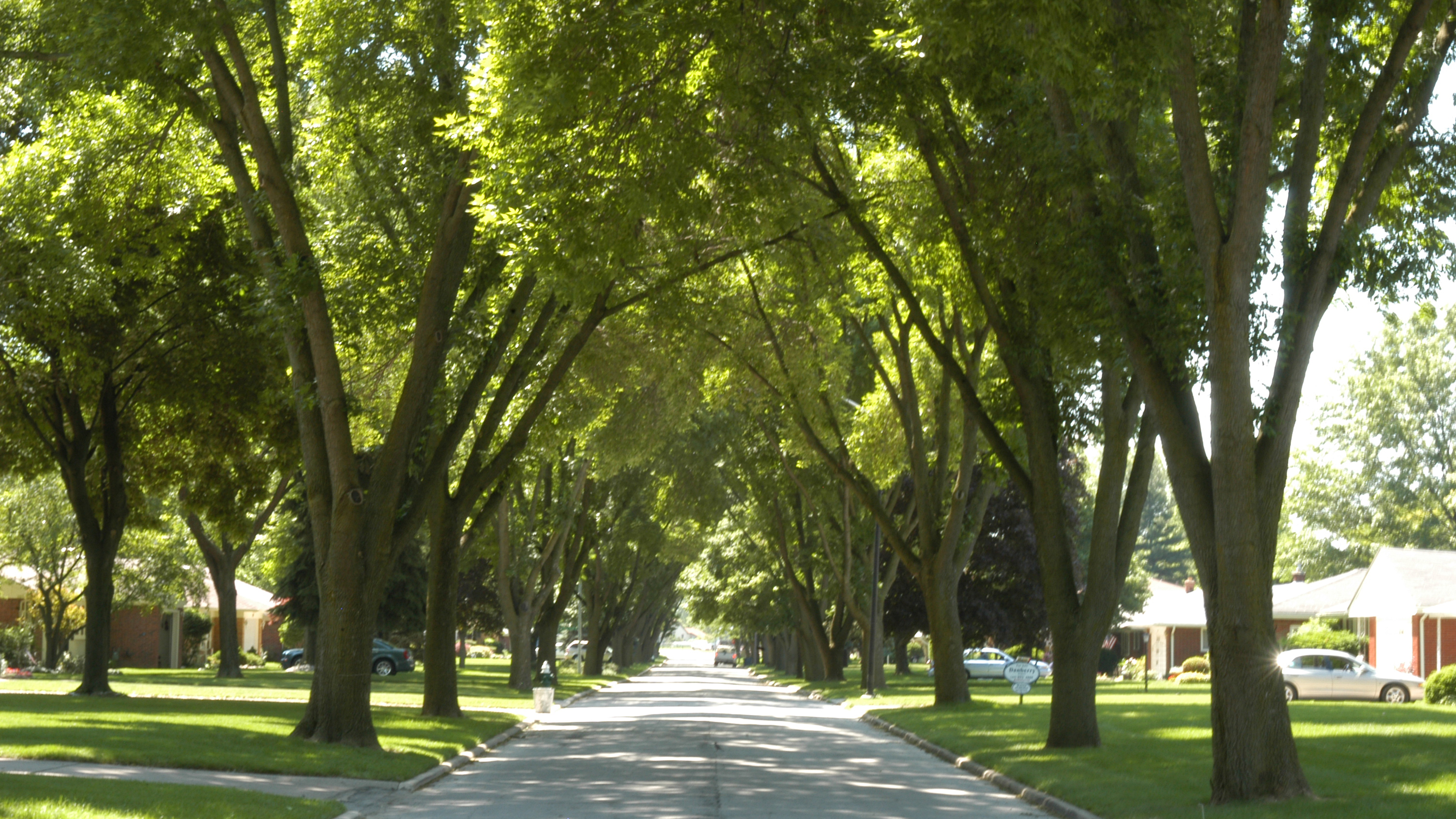 英语词汇run的20个常见短语,20条英语短语