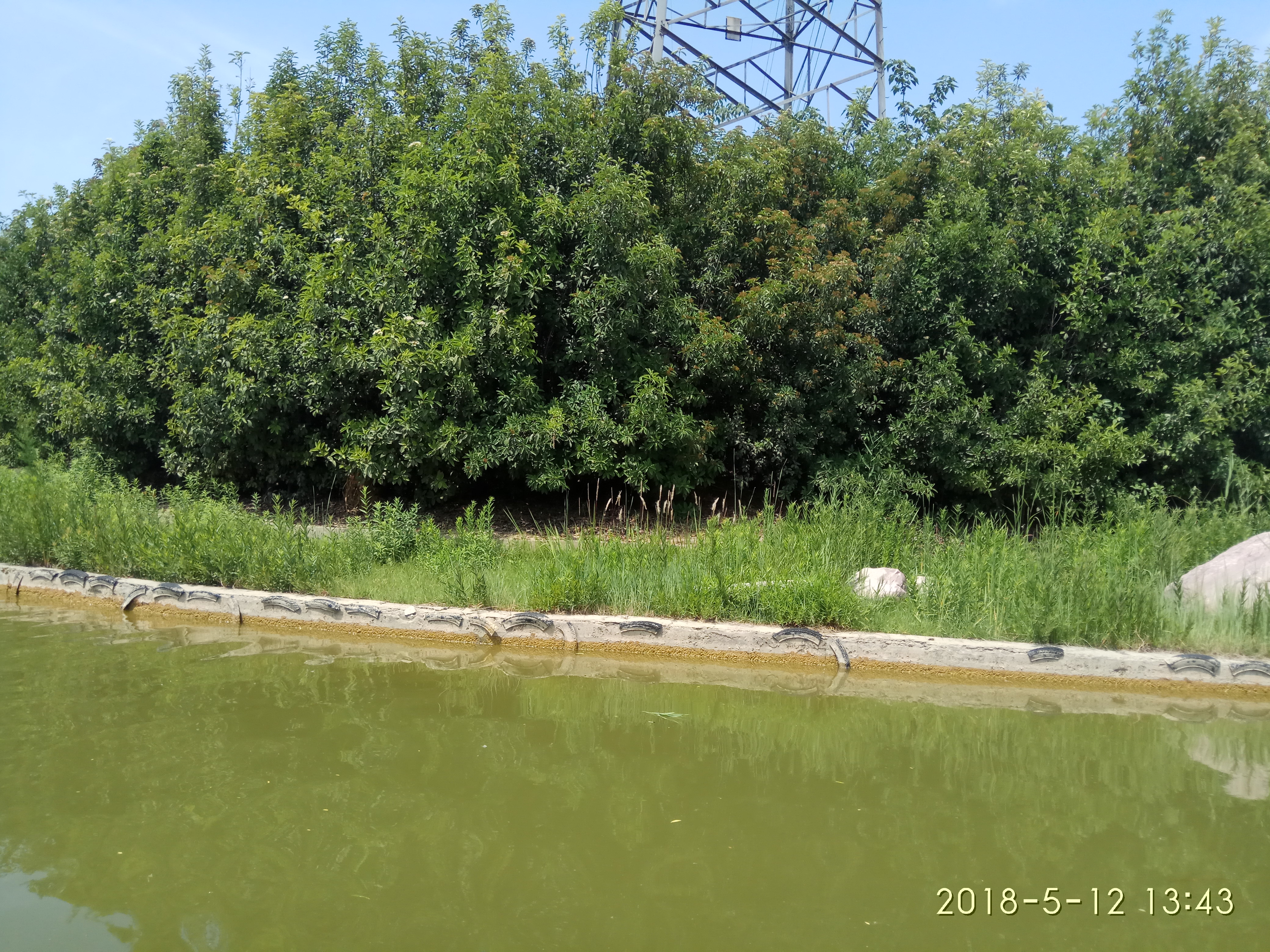 养猪生产中两针就能搞定的第三*猪种**病，内赠抢救腹泻仔猪偏方