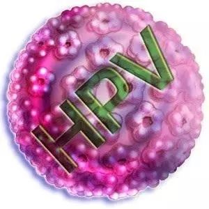 HIV和HPV有什么区别,hpv和hiv检测多少钱