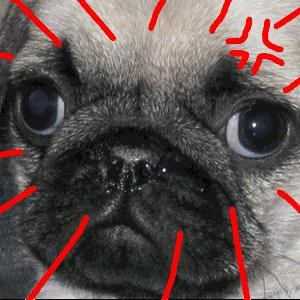 奇葩姓氏欢乐多!那个叫上床美也和肛门强的,请问你在哪个研究所