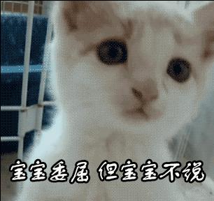 奇葩姓氏欢乐多!那个叫上床美也和肛门强的,请问你在哪个研究所