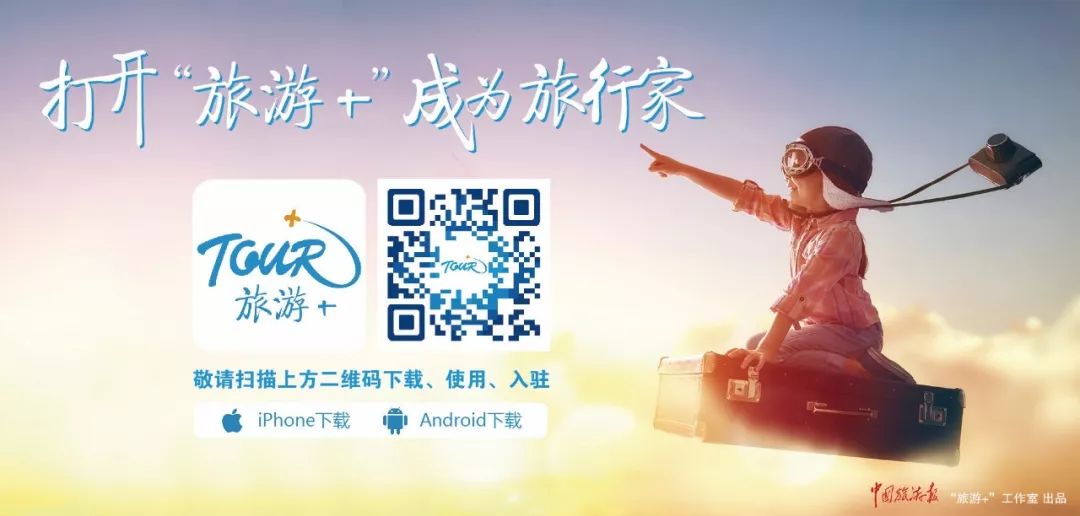 国内旅行社现状,江苏旅游团现状