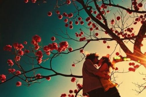 古诗词表白的诗句单句,古诗词表白爱意的句子有哪些