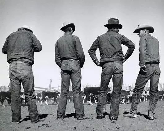 李维斯501ct经典牛仔裤,李维斯经典牛仔裤是什么