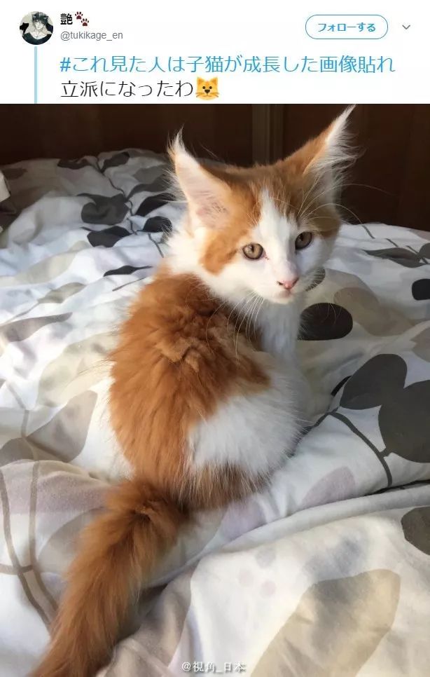 山田孝之为什么这么胖,山田孝之真实身高是多少