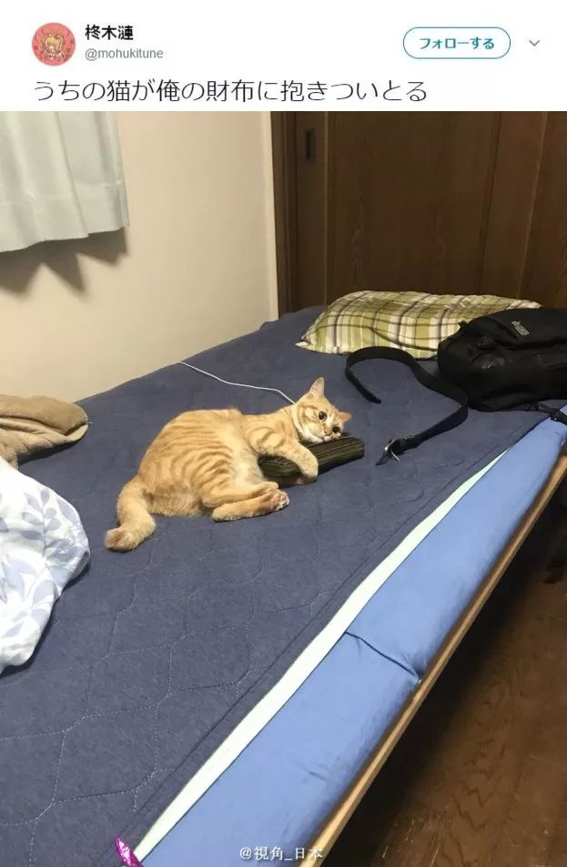 山田孝之为什么这么胖,山田孝之真实身高是多少