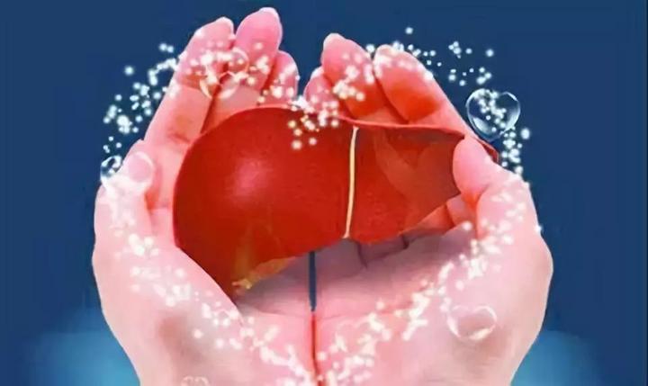 人的血管怎么清洗,为什么保养血管很重要