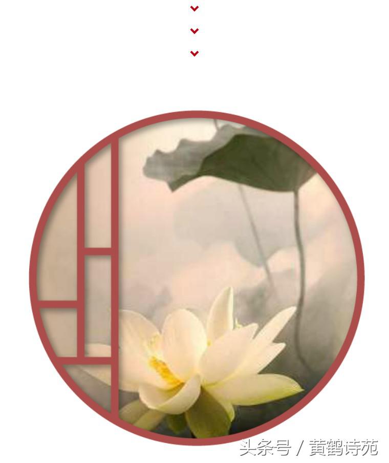 黄鹤诗苑个人专刊全集,黄鹤诗苑组合诗句