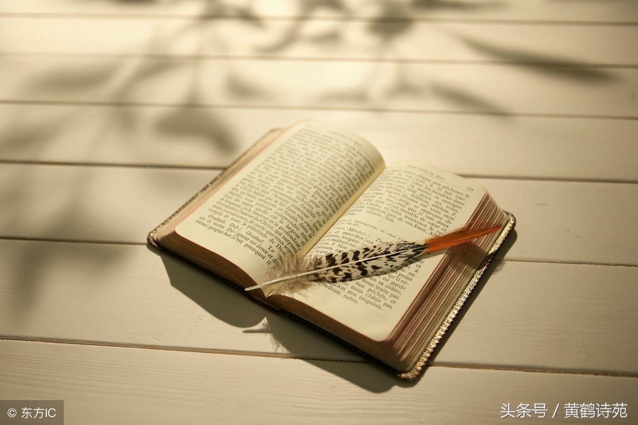 黄鹤诗苑个人专刊全集,黄鹤诗苑组合诗句