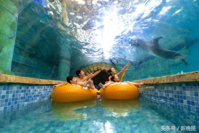 冰城夏都哈尔滨旅行攻略,享受冰城夏都的酷爽之旅