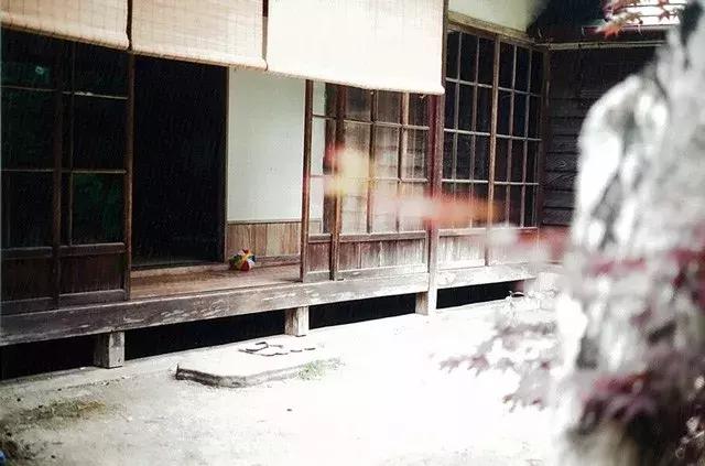 刚刚结束的戛纳电影节,日本导演是枝裕和《小偷家族》斩获金棕榈