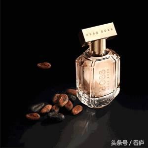 咖啡味不浓郁的香水有哪些,比较清新的茶香味的香水