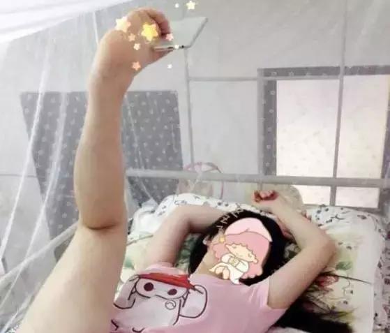 如何在一年一度的虐狗节自保,又到了一年一度的虐狗节