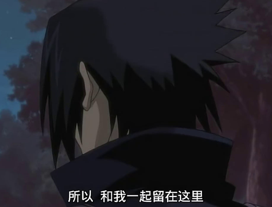 火影忍者佐助叛变是第几集,火影忍者佐助叛逃结局