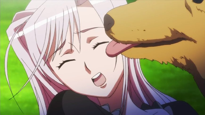 几部有趣的后宫番动漫,根据漫画改编的后宫动漫