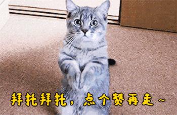 秦岚把富察演活 (秦岚富察混剪)