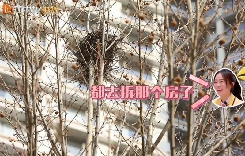 嗯哼对着镜头搞怪,嗯哼摆拍遭路人动手尴尬瞬间